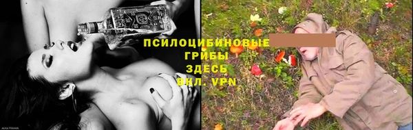 дмт Алексеевка
