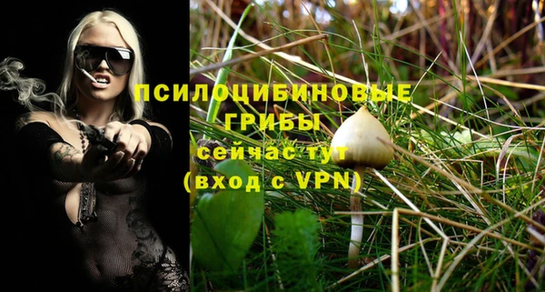 сатива Арсеньев