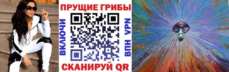 сайты даркнета какой сайт  МЕГА   Нея  Галлюциногенные грибы мицелий 